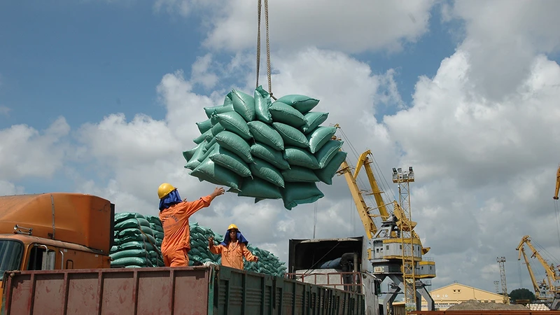 Xuất khẩu gạo có nhiều tín hiệu vui.