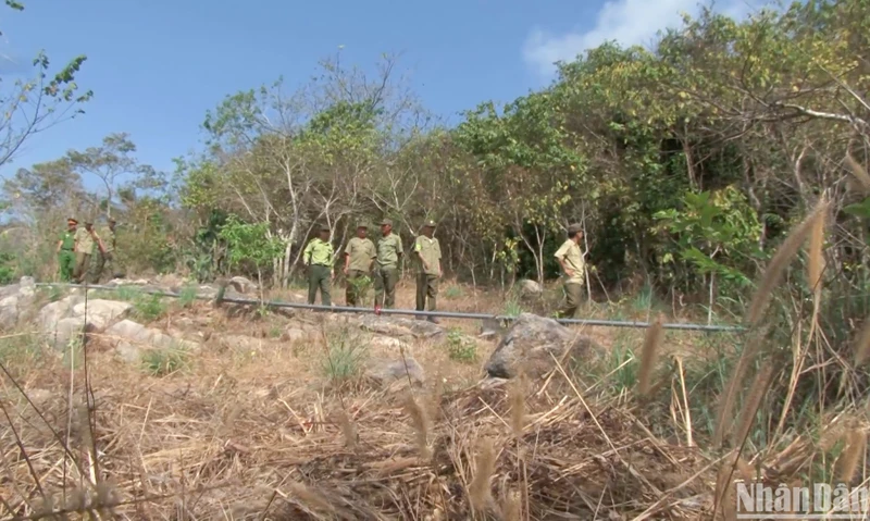 Lực lượng chức năng tỉnh An Giang kiểm tra phòng, chống cháy rừng trên khu vực núi Cấm.