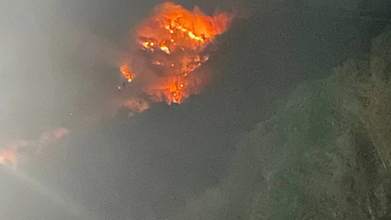 Cháy rừng trên núi Tô.