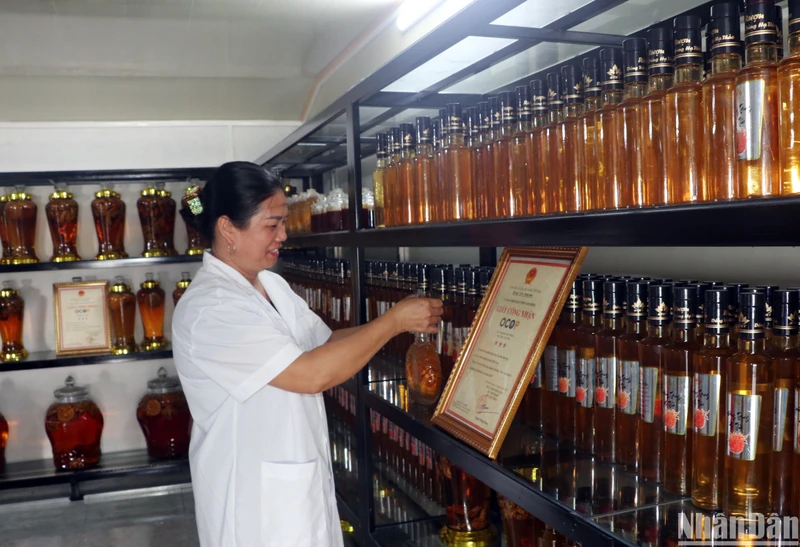 Chế biến sản phẩm OCOP từ đông trùng hạ thảo tại doanh nghiệp tư nhân Phú Long (khu 20, thị trấn Thịnh Long, huyện Hải Hậu, Nam Định).