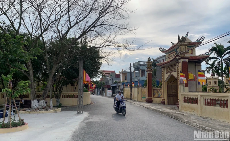 Xã Tam Thanh là một trong những xã được tỉnh Nam Định xét công nhận đạt chuẩn nông thôn mới nâng cao năm 2023.