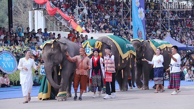 Lễ hội Voi tỉnh Xayaboury của Lào là một trong những lễ hội đặc sắc, thu hút đông đảo du khách. (Ảnh: Trịnh Dũng)