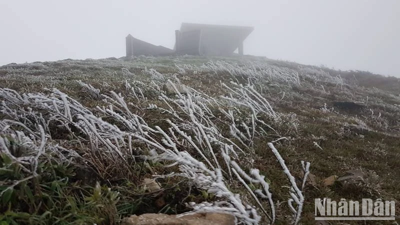 Băng tuyết đã xuất hiện trên Khu du lịch Mẫu Sơn, Lộc Bình (Lạng Sơn).