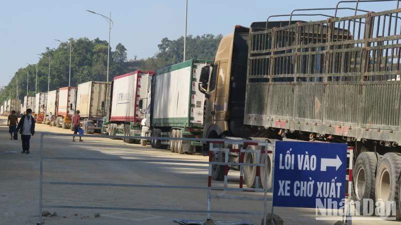 Xe chở hàng nông sản làm thủ tục thông quan qua cửa khẩu Tân Thanh, Văn Lãng (Lạng Sơn).