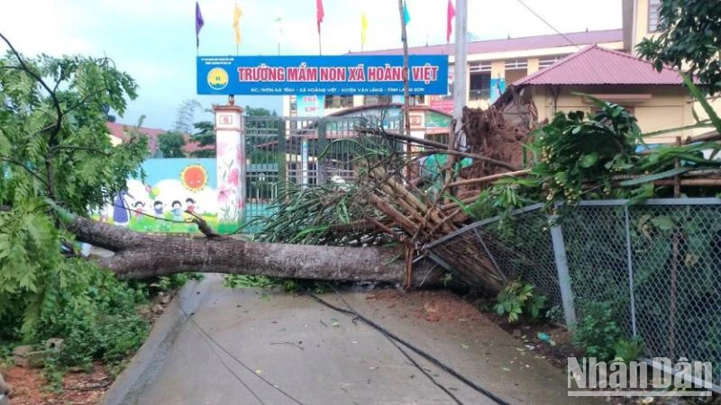 Trường mầm non xã Hoàng Việt Văn Lãng, tỉnh Lạng Sơn bị cây đổ trước cổng trường.