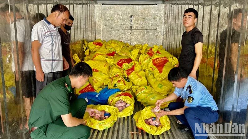 Các lực lượng chống buôn lậu gồm: Quản lý thị trường, Bộ đội biên phòng... phát hiện, bắt giữ xe chở thực phẩm "bẩn" trên địa bàn huyện Lộc Bình, (Lạng Sơn).