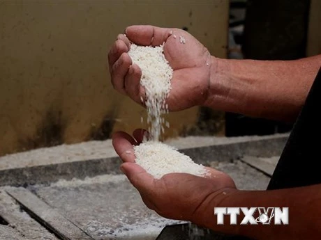Indonesia nhập khẩu 1 triệu tấn gạo từ Thái Lan, Việt Nam, Pakistan và Myanmar. (Ảnh: HỒNG ĐẠT/TTXVN)