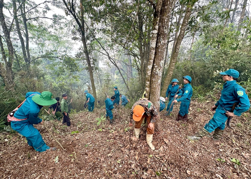 Các lực lượng chức năng tham gia chữa cháy rừng đặc dụng Tây Côn Lĩnh.