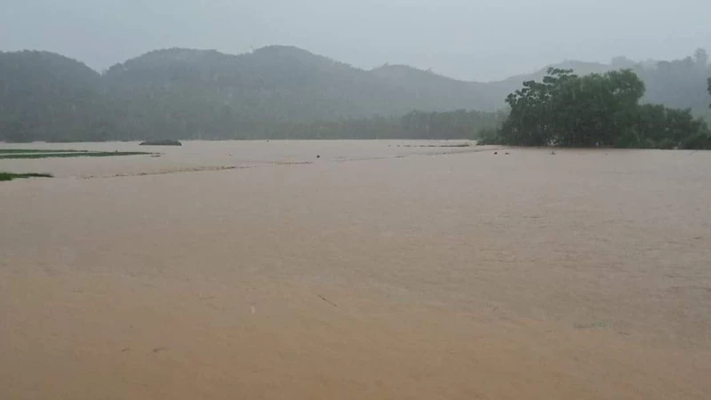 Mưa lớn gây ngập úng nhiều diện tích hoa màu tại huyện Quang Bình.