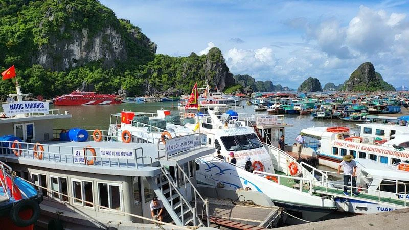 Các phương tiện thủy trở về neo đậu an toàn tại Cảng Cái Rồng, huyện Vân Đồn, tỉnh Quảng Ninh.
