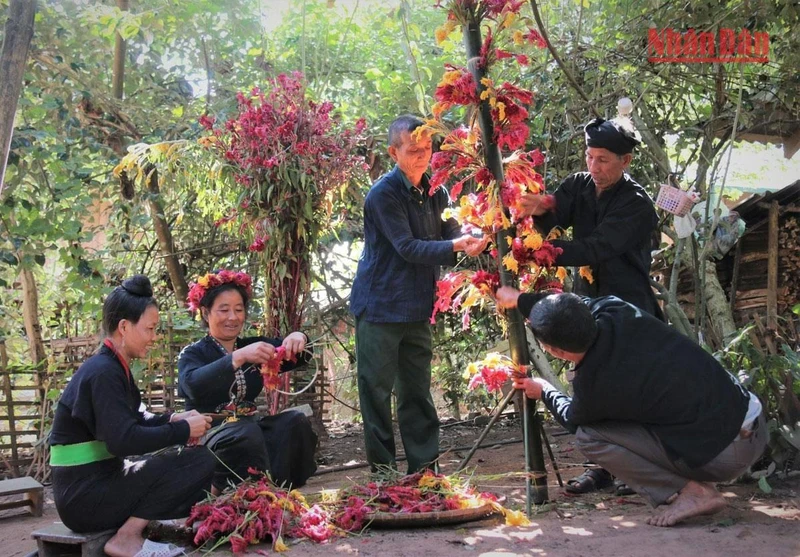 Bà con người Cống bản Lả Chà chuẩn bị hoa mào gà để trang trí nhà cửa, bản làng đón Tết hoa.