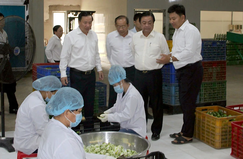Lãnh đạo Bộ Nông nghiệp và Phát triển nông thôn xem quy trình sản xuất và chế biến chanh của Công ty cổ phần Thương mại và Đầu tư Chanh Việt, xã Thạnh Lợi, huyện Bến Lức.