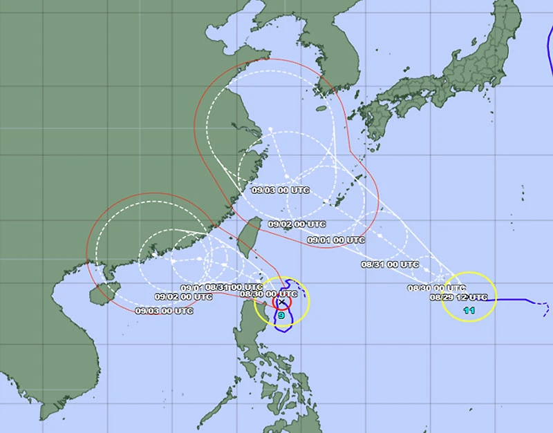 Đường đi của bão Saola và bão Haikui lúc 7 giờ ngày 29/8. (Dự báo của Nhật Bản)