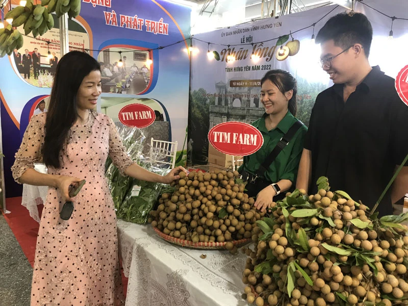 Nhãn lồng Hưng Yên tham gia hội chợ, xúc tiến thương mại tiêu thụ nhãn ở thành phố Hưng Yên, tỉnh Hưng Yên.