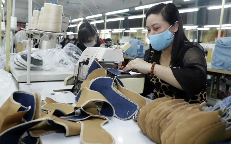 Doanh nghiệp da giày gặp nhiều khó khăn trong xuất khẩu.