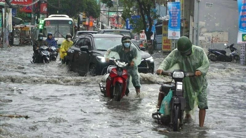 Ảnh minh họa.