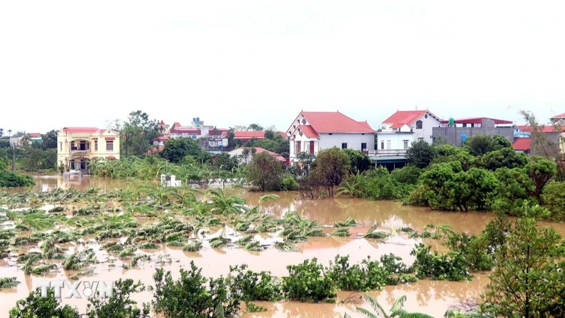 Ảnh minh họa.