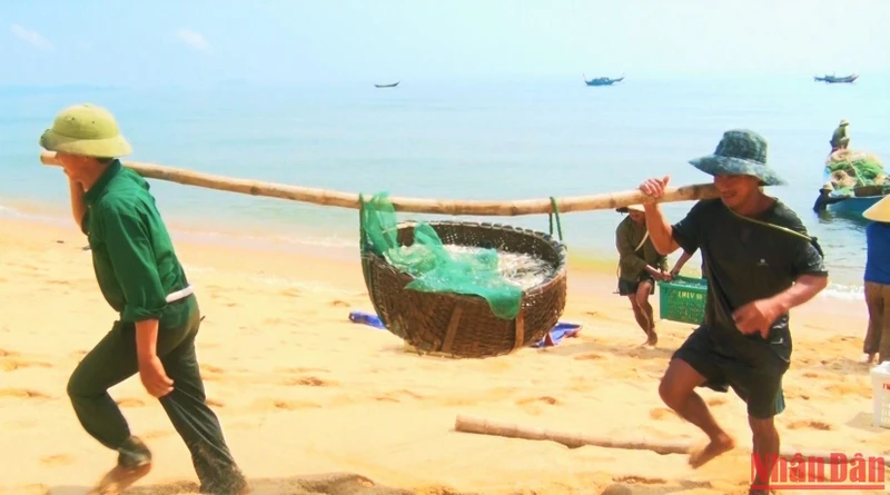 Ngư dân Quảng Xuân gánh cá cơm từ thuyền lên bờ.