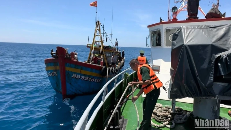 Tàu cá vi phạm bị lực lượng chức năng tỉnh Quảng Ngãi phát hiện.