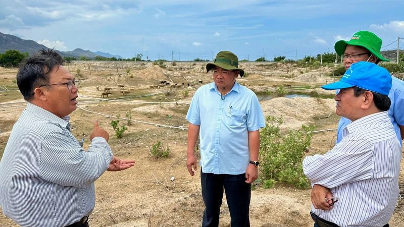Đại diện lãnh đạo huyện Ninh Hải báo cáo tình hình khô hạn tại địa phương đang tác động tiêu cực đến sản xuất, chăn nuôi và sinh hoạt của người dân nơi đây.