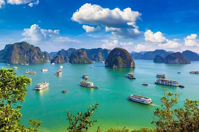 Vịnh Hạ Long luôn là điểm đến phải ghé thăm của du khách quốc tế khi tới Việt Nam. (Ảnh: Canva)