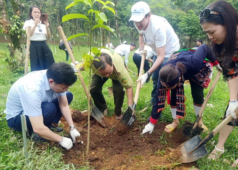 Trồng rừng phòng hộ tại Vườn quốc gia Cúc Phương (Ninh Bình).