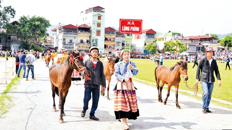 Chuẩn bị vào cuộc đua.