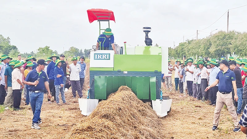 Máy băm rơm làm phân hữu cơ.