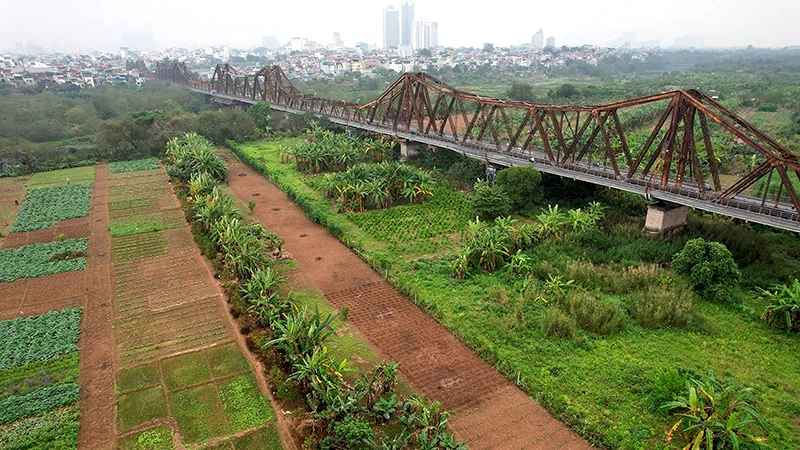 Nhiều chuyên gia đề xuất phải giữ cầu Long Biên khi cải tạo bãi giữa sông Hồng. (Ảnh HỮU NGHỊ)