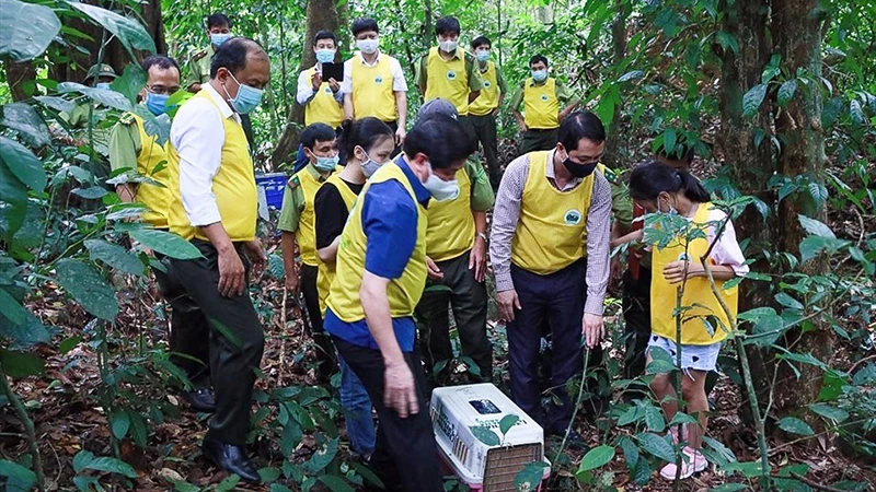 Tái thả động vật hoang dã vào rừng tại Vườn quốc gia Cúc Phương (Ninh Bình).