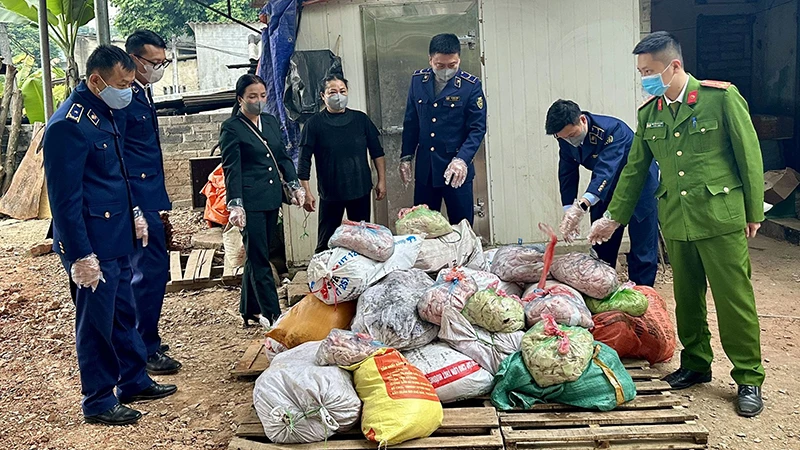 Lực lượng chức năng tỉnh Yên Bái kiểm tra, phát hiện xe tải chở 10 tấn nầm lợn đông lạnh không rõ nguồn gốc xuất xứ. (Ảnh HƯƠNG QUẾ)