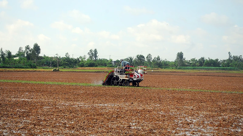Nông dân tỉnh Tiền Giang làm đất xuống giống vụ lúa đông xuân 2023-2024.