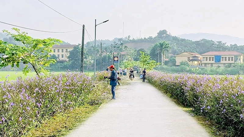 Cán bộ và nhân dân tham gia làm đẹp cảnh quan nông thôn mới tại xã Việt Thành, huyện Trấn Yên, tỉnh Yên Bái. (Ảnh THANH SƠN)