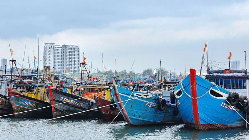 Tàu thuyền về neo đậu tránh trú bão tại âu thuyền Thọ Quang, thành phố Đà Nẵng. (Ảnh MINH TRANG)