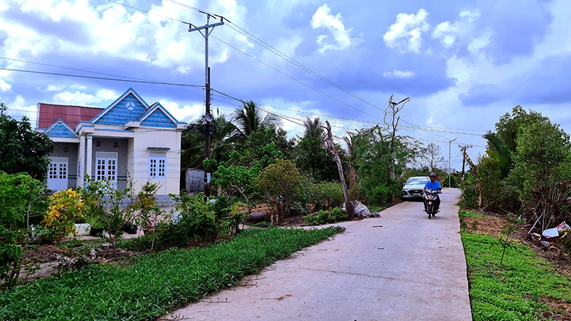 Vùng quê huyện Đầm Dơi (tỉnh Cà Mau) có thêm nhiều tuyến đường nhỏ hẹp được đầu tư, nâng cấp, đất trống vùng mặn được phủ xanh rau màu.