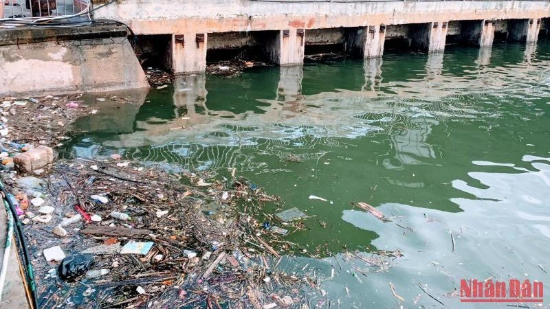 Rác thải gây ô nhiễm môi trường trên biển Hải Phòng.