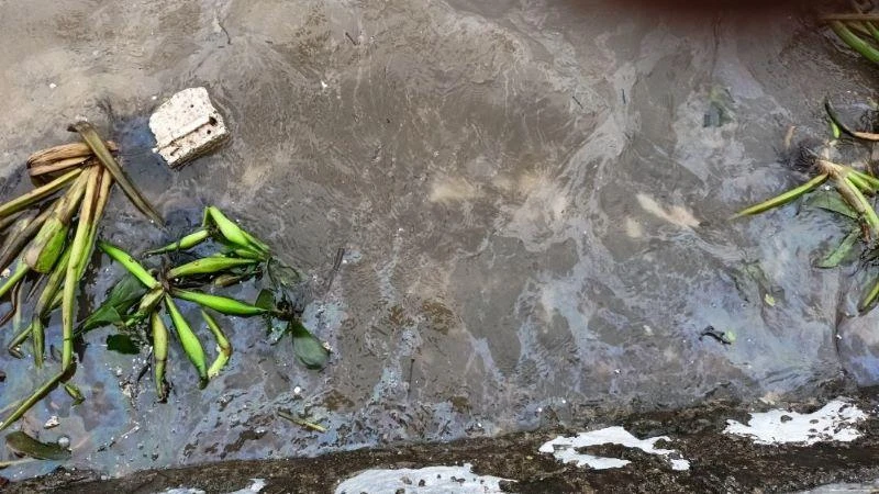 Hình ảnh dầu loang lổ tại khu vực kè cồn Đen (xã Thái Đô, huyện Thái Thụy, tỉnh Thái Bình) sau sự cố chìm tàu chở dầu ngày 8/9/2022. (Hình ảnh cắt từ clip của cán bộ đồn Biên phòng 68 cung cấp).
