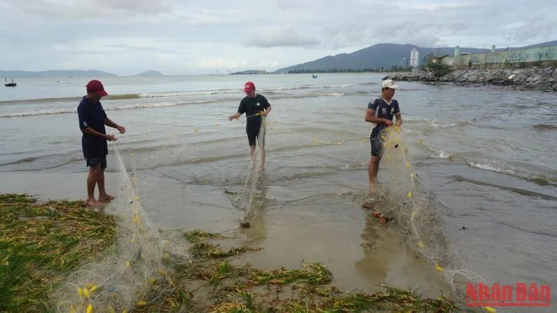 Người dân Đà Nẵng quây lưới bắt cá nước ngọt sau bão số 4.