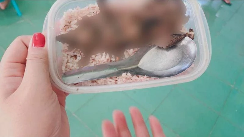 Hình ảnh hộp cơm với thịt chuột được đưa lên mạng xã hội. 