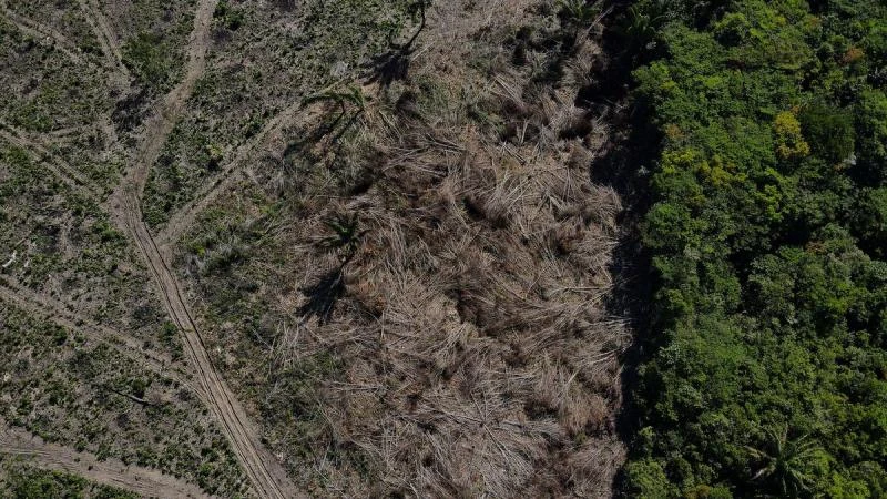 Một khoảnh rừng nhiệt đới Amazon ở Manaus bị chặt phá, bang Amazonas, Brazil ngày 8/7/2022. (Ảnh: REUTERS)