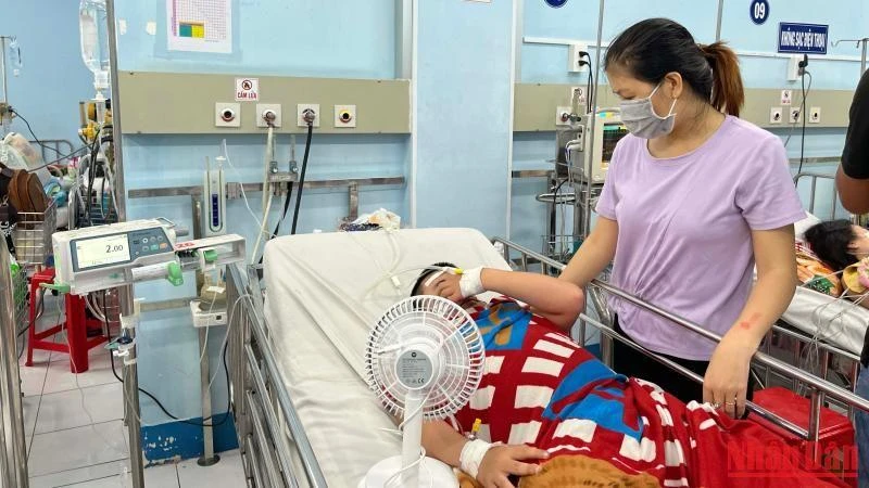 Điều trị sốt xuất huyết tại Bệnh viện Nhi Đồng 1, Thành phố Hồ Chí Minh.
