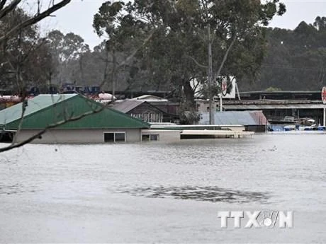 Cảnh ngập lụt sau những trận mưa lớn khu vực ngoại ô Sydney, Australia. (Ảnh: AFP/TTXVN)