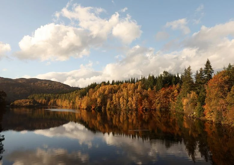 Sắc vàng mùa thu được phản chiếu trên hồ Loch Faskally ở Pitlochry, Scotland, ngày 26/10. (Ảnh: REUTERS)