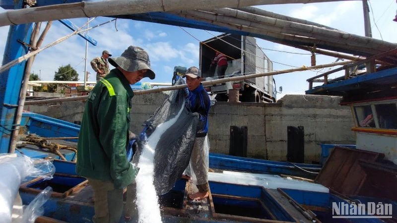 Ngư dân đưa đá lạnh xuống tàu câu cá ngừ đại dương tại cảng cá Đông Tác, thành phố Tuy Hòa.