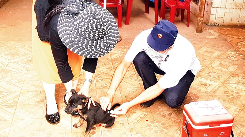 Cán bộ Chi cục Chăn nuôi và Thú y tỉnh Đắk Lắk tiêm vắc-xin phòng bệnh dại cho chó, mèo.