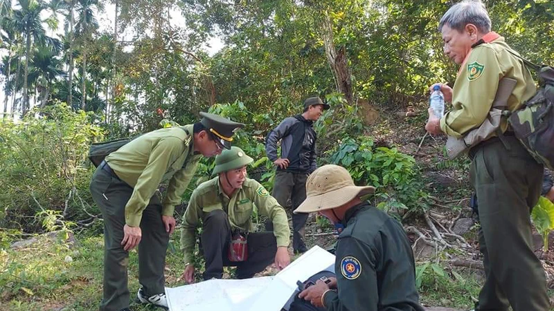 Lực lượng kiểm lâm tỉnh Quảng Ngãi kiểm tra bảo vệ rừng.