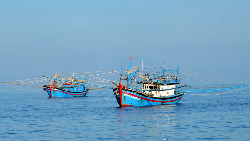 Tàu cá Bình Thuận tuân thủ các quy định khi đánh bắt hải sản tại vùng biển Phú Quý. 