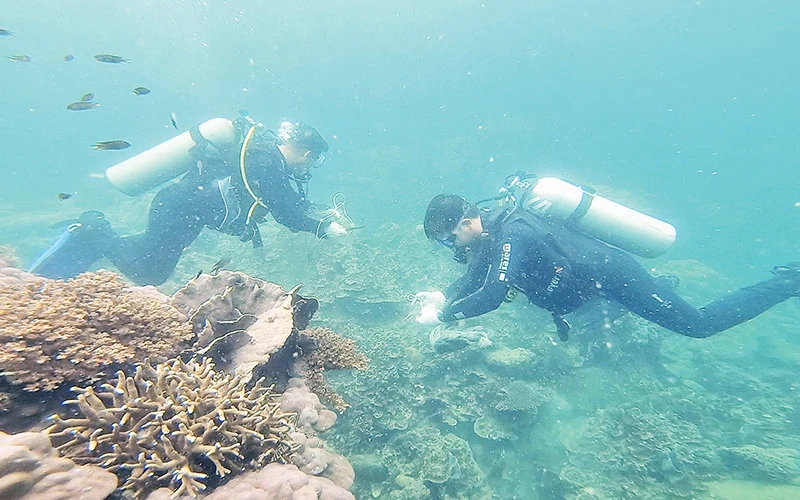 Lặn biển vệ sinh rạn san hô Vườn quốc gia Phú Quốc. 2,3-Thu gom rác thải dưới đáy biển Phú Quốc.
