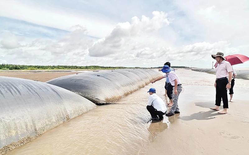 Công trình kè mềm chống sạt lở bờ biển tại huyện Thạnh Phú, tỉnh Bến Tre.