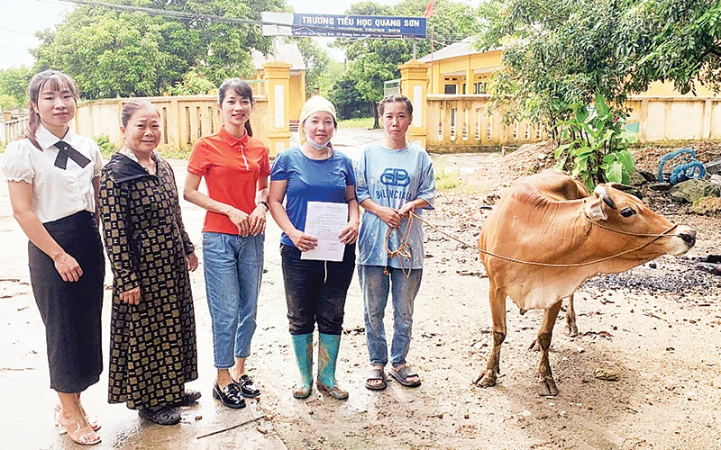 Hội viên phụ nữ xóm Trung Sơn, xã Quang Sơn, huyện Đồng Hỷ (Thái Nguyên) được hỗ trợ bò sinh sản để phát triển kinh tế. (Ảnh Thu Hà)